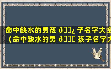 命中缺水的男孩 🌿 子名字大全（命中缺水的男 🕊 孩子名字大全四个字）